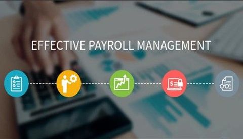 Discover the Basics of Payroll Management Solutions: A Complete Guide for Businesses