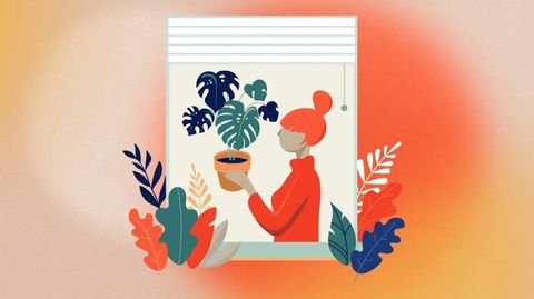 Crafting Your Online Presence: A Comprehensive Website Guide